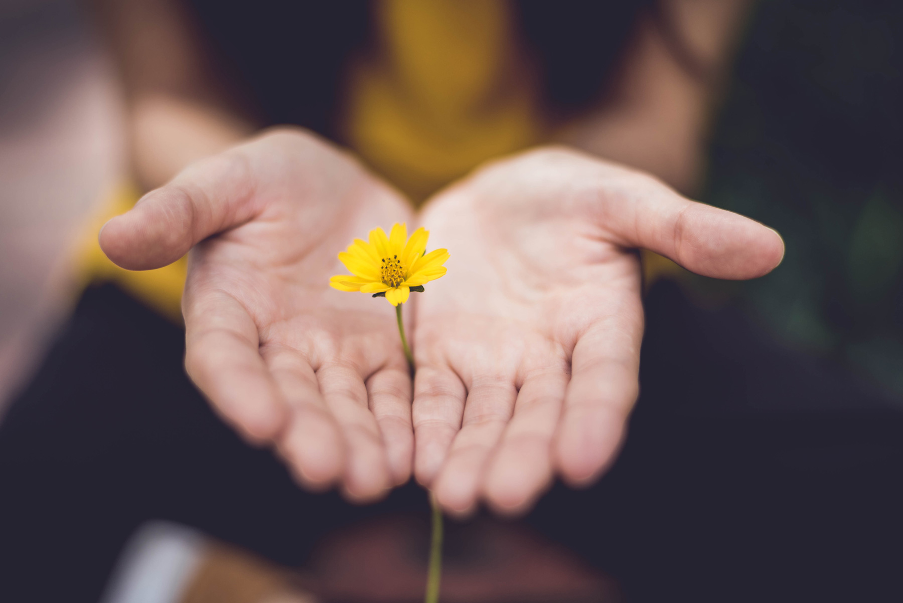 Washing The Wound Of Domestic Violence