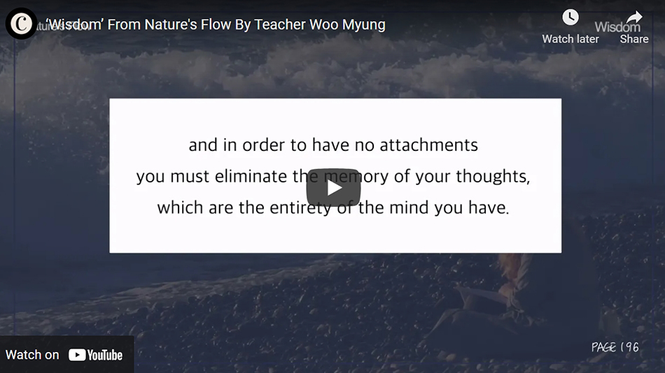 ‘Wisdom’ From Nature’s Flow By Teacher Woo Myung
